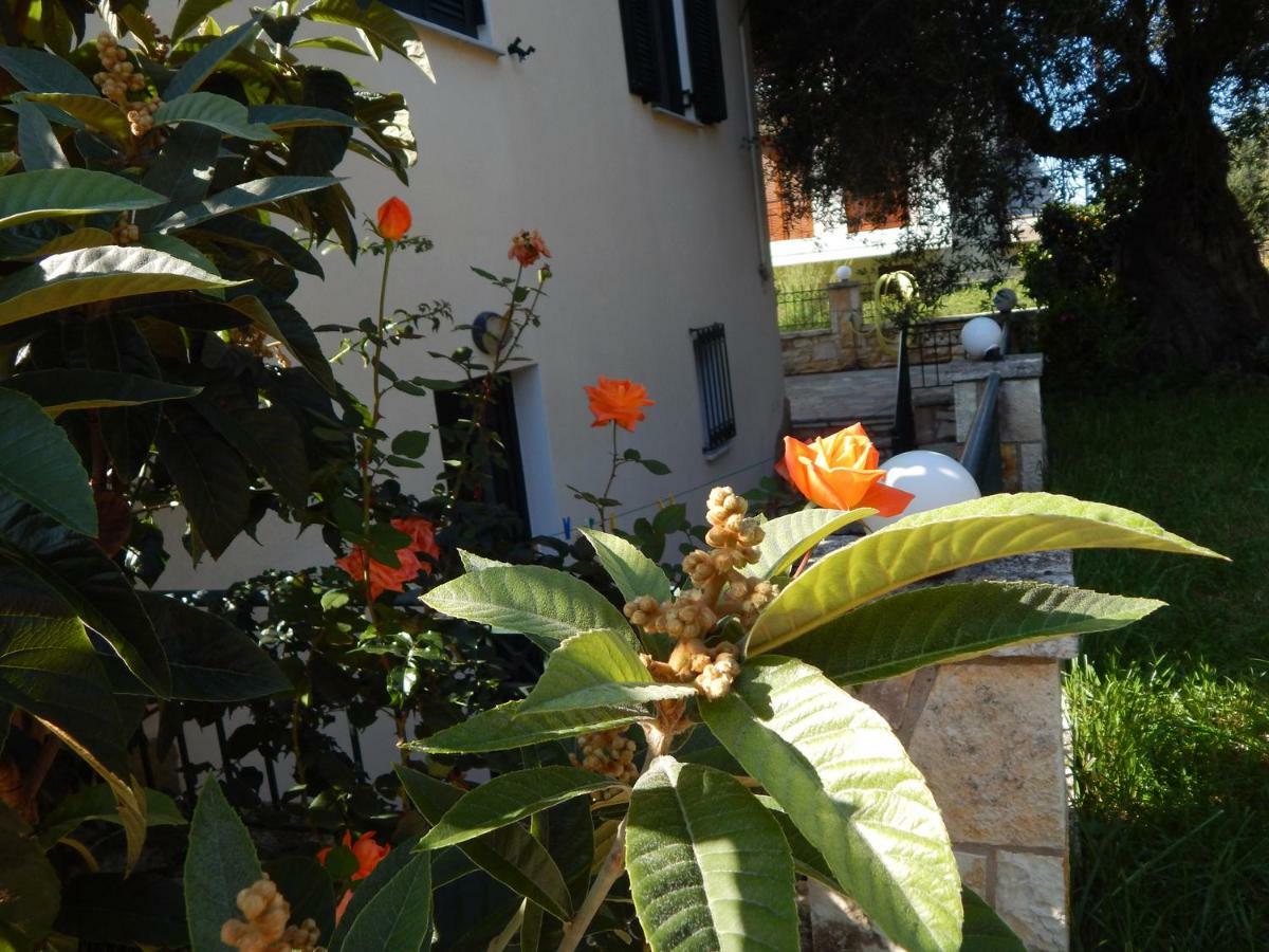 Villa Dimitra Sivota  Luaran gambar
